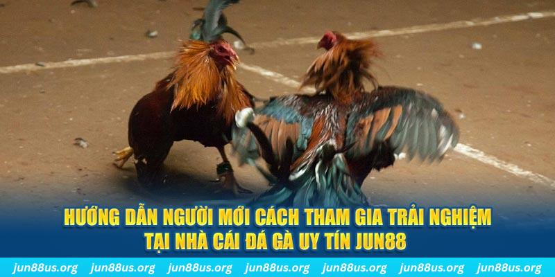 sx666 loi game dot kich ket noi may chu that bai