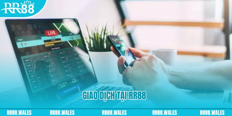 sx666 gà chọi c1.com trực tiếp 888