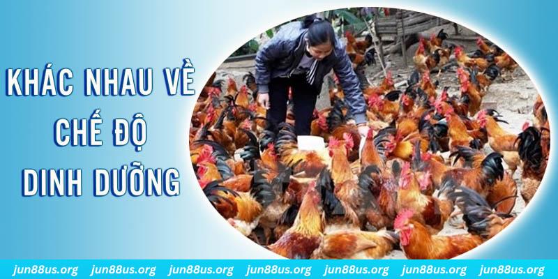 sx666 xổ số miền nam thứ năm hàng tuần