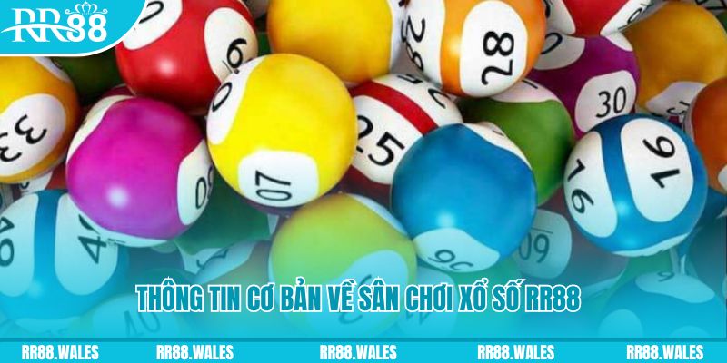 sx666 đá gà hôm nay