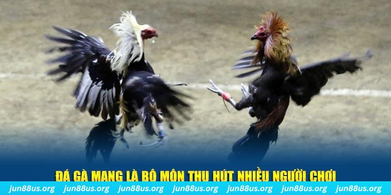 sx666 đăng nhập lô đề hàng đầu