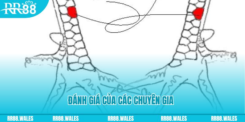 sx666 V8 Game Bài 3d