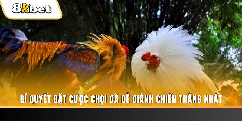 sx666 xổ số thứ hai hàng tuần