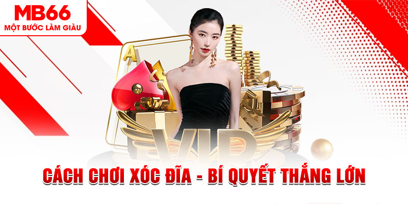 sx666 trực tiếp đá gà c1 hôm nay