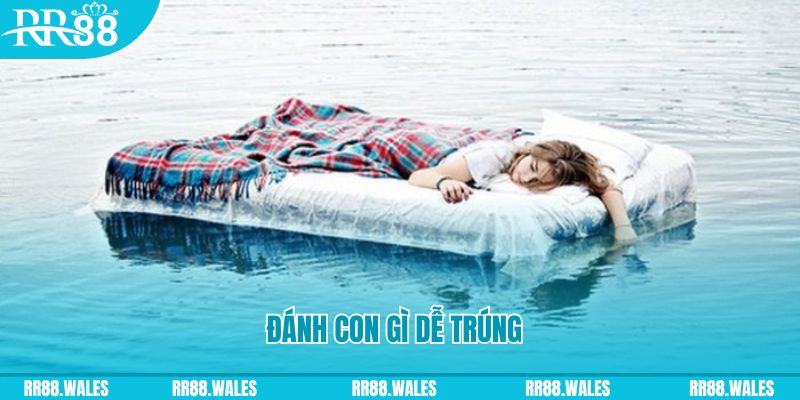 sx666 đăng nhập liêng hàng đầu