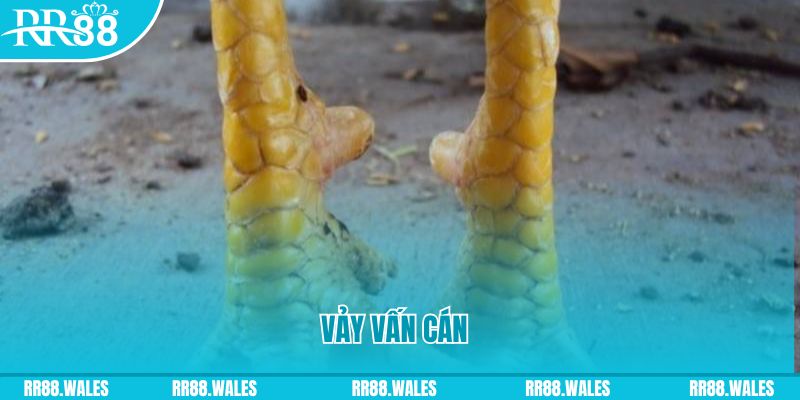 sx666 đăng nhập nổ hũ hôm nay